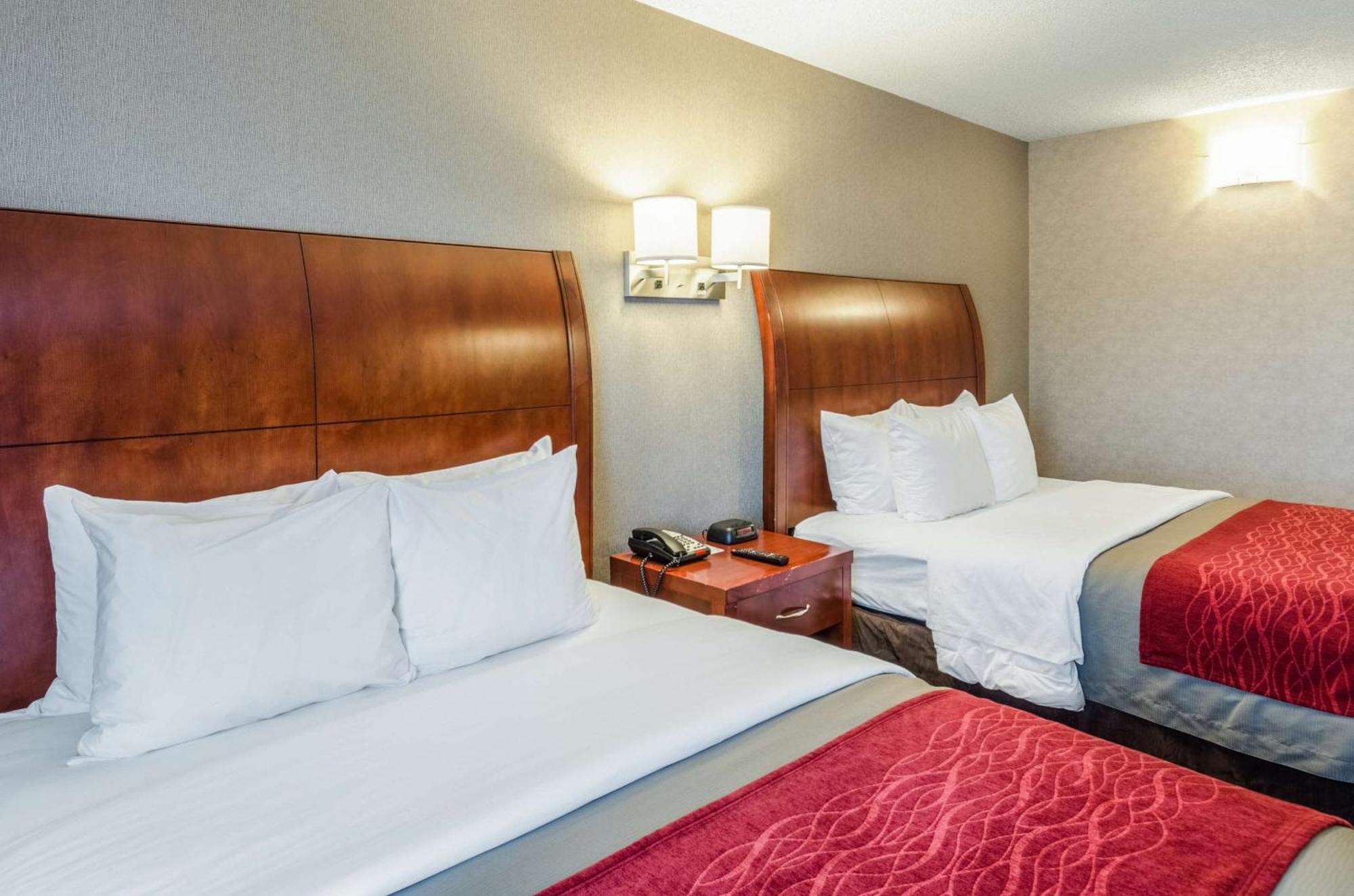 Comfort Inn & Suites West Springfield Bagian luar foto